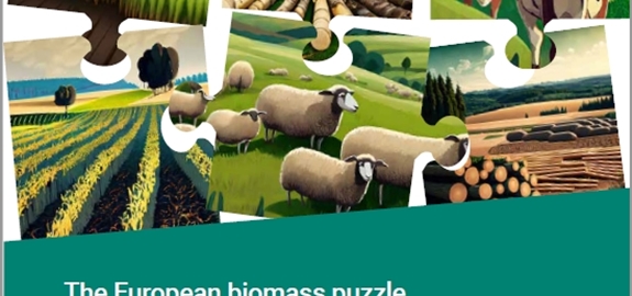 De Europese biomassa puzzel -EEA studie