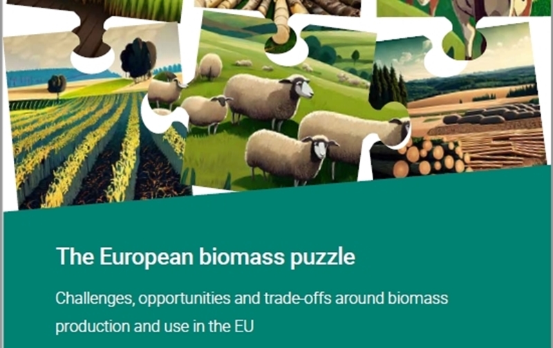 De Europese biomassa puzzel -EEA studie