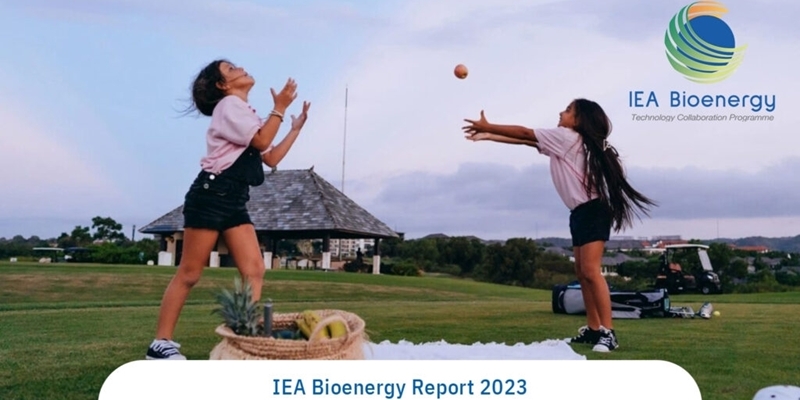 IEA: Hoe bio-energie bijdraagt aan een duurzame toekomst