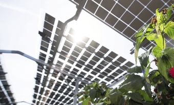 Nederlandse innovatiesubsidies voor zonne-energie