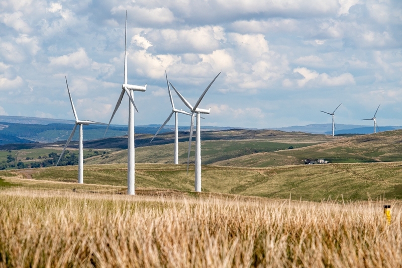 Geen windeieren: Duitsland haalt meer energie uit wind dan uit kolen