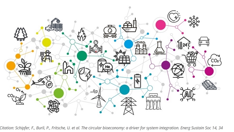 IEA studie: De circulaire bio-economie: een drijvende kracht voor systeemintegratie