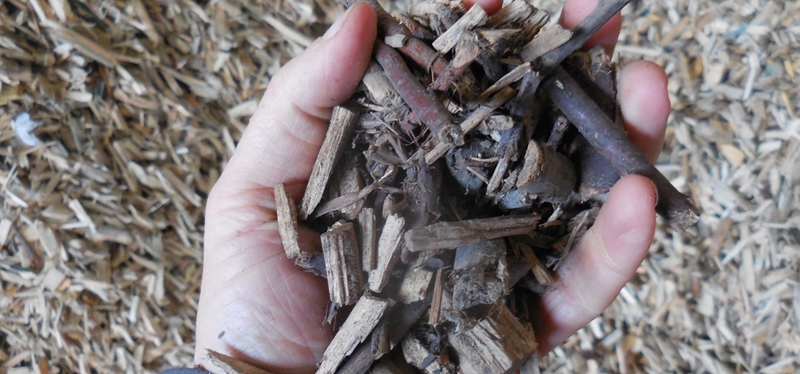 Studie over beschikbaarheid van biogrondstoffen in Vlaanderen