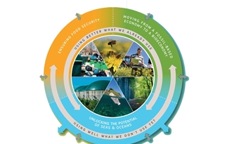 Bio-energieplatform geeft input op consultatie nieuwe Europese bio-economie strategie