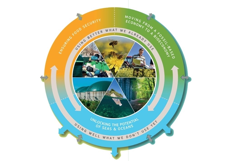Bio-energieplatform geeft input op consultatie nieuwe Europese bio-economie strategie