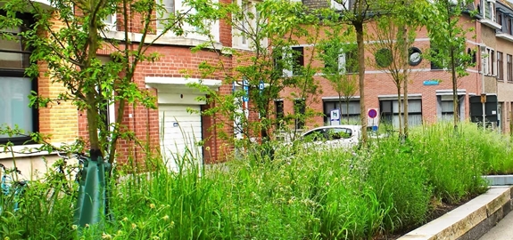 Project fossielvrije wijken: pilootproject in vijf steden