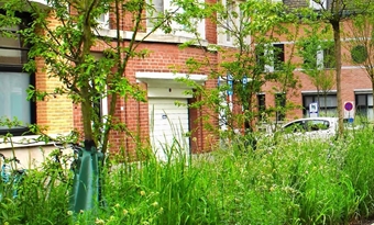 Project fossielvrije wijken: pilootproject in vijf steden