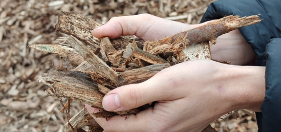 RED criteria in de monitoringplannen en stand van zaken overgangsbepaling 
