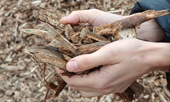 RED criteria in de monitoringplannen en stand van zaken overgangsbepaling 
