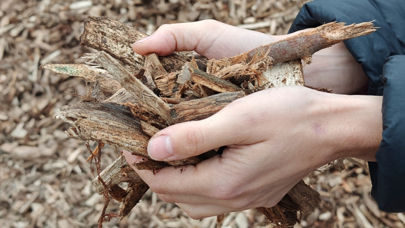 RED III binnen ETS 1: belang van de ‘start of operation’ en stand van zaken overgangsbepaling